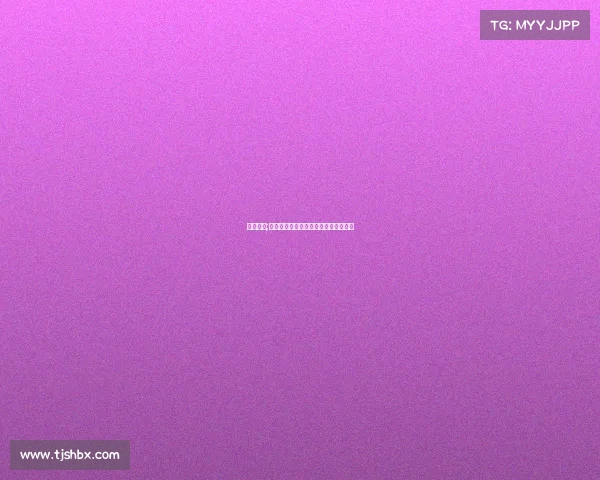 洛基赛事;洛基赛事巅峰激战，荣耀对决燃爆登场